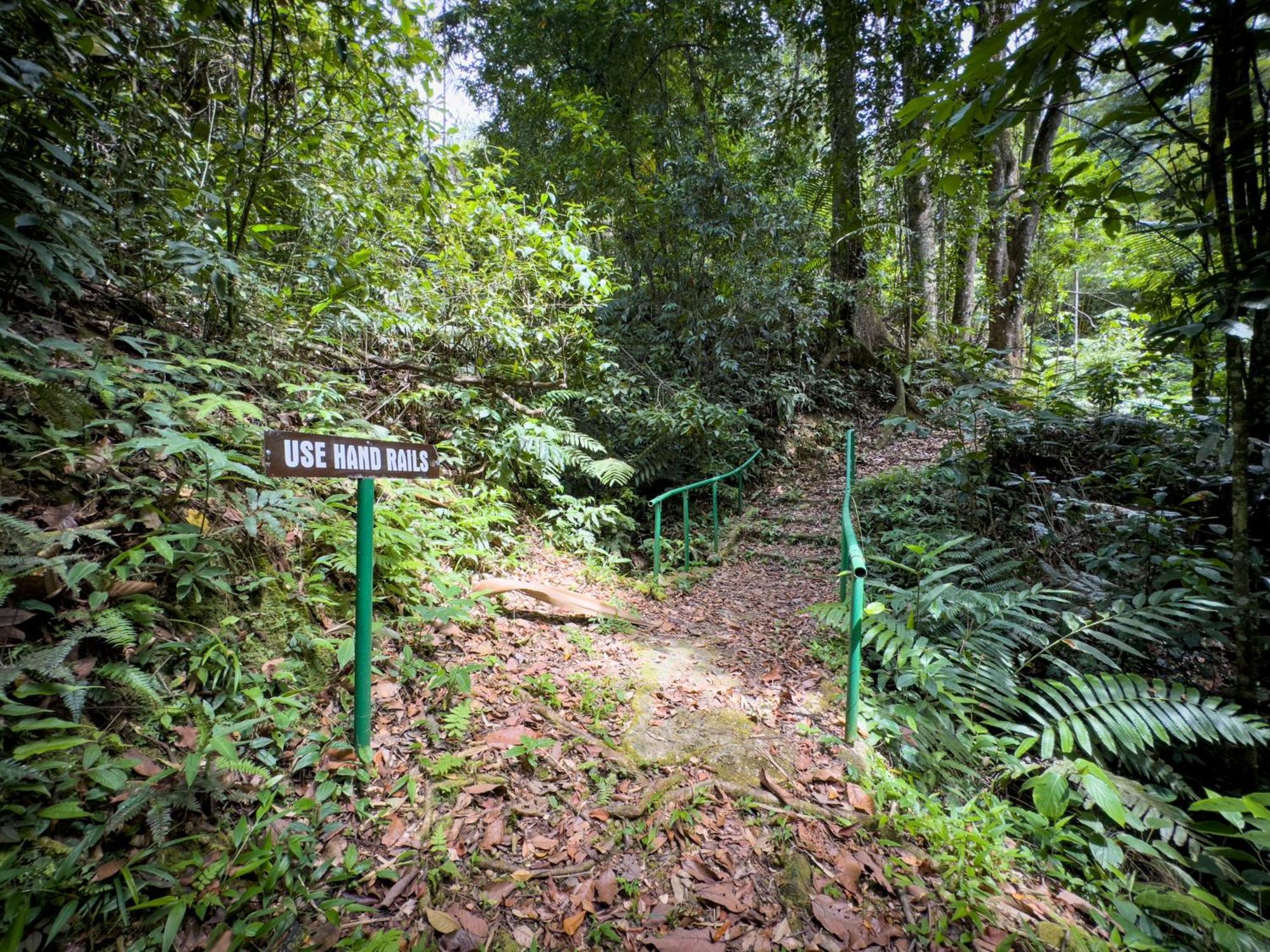 Hadco Experiences At Asa Wright Nature Centre Blanchisseuse Exterior foto